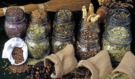 409226_444706512238164_492544241_n